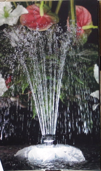 Emotion forværres Afledning Flower Plus - Springvand med lys og pumpe