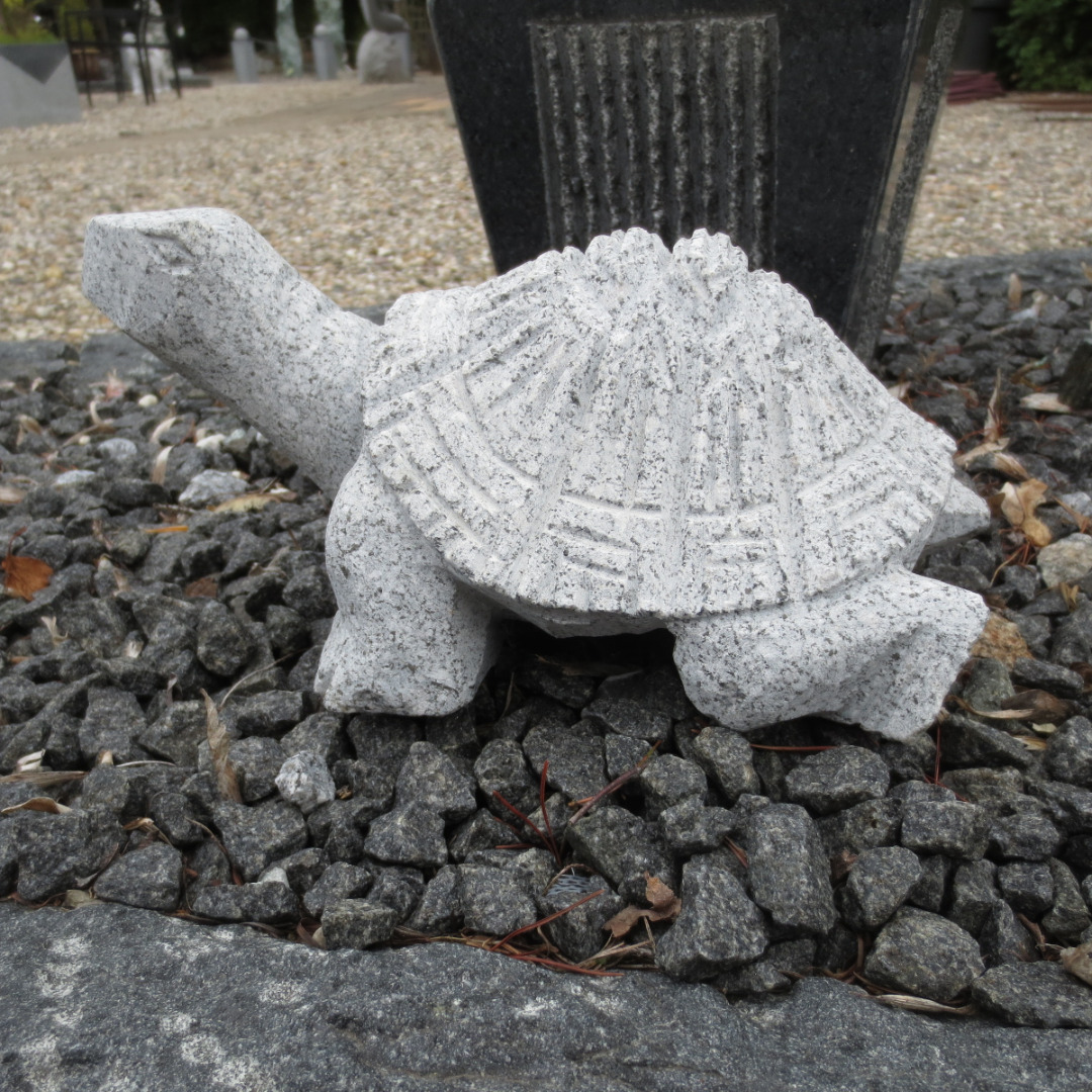 fjendtlighed Ciro At adskille Skildpadde i lys grå granit
